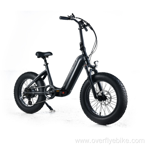 XY-PANDA electric bike with 500w hub motor